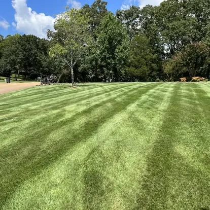 Leaf removal and mulching Oxford MS